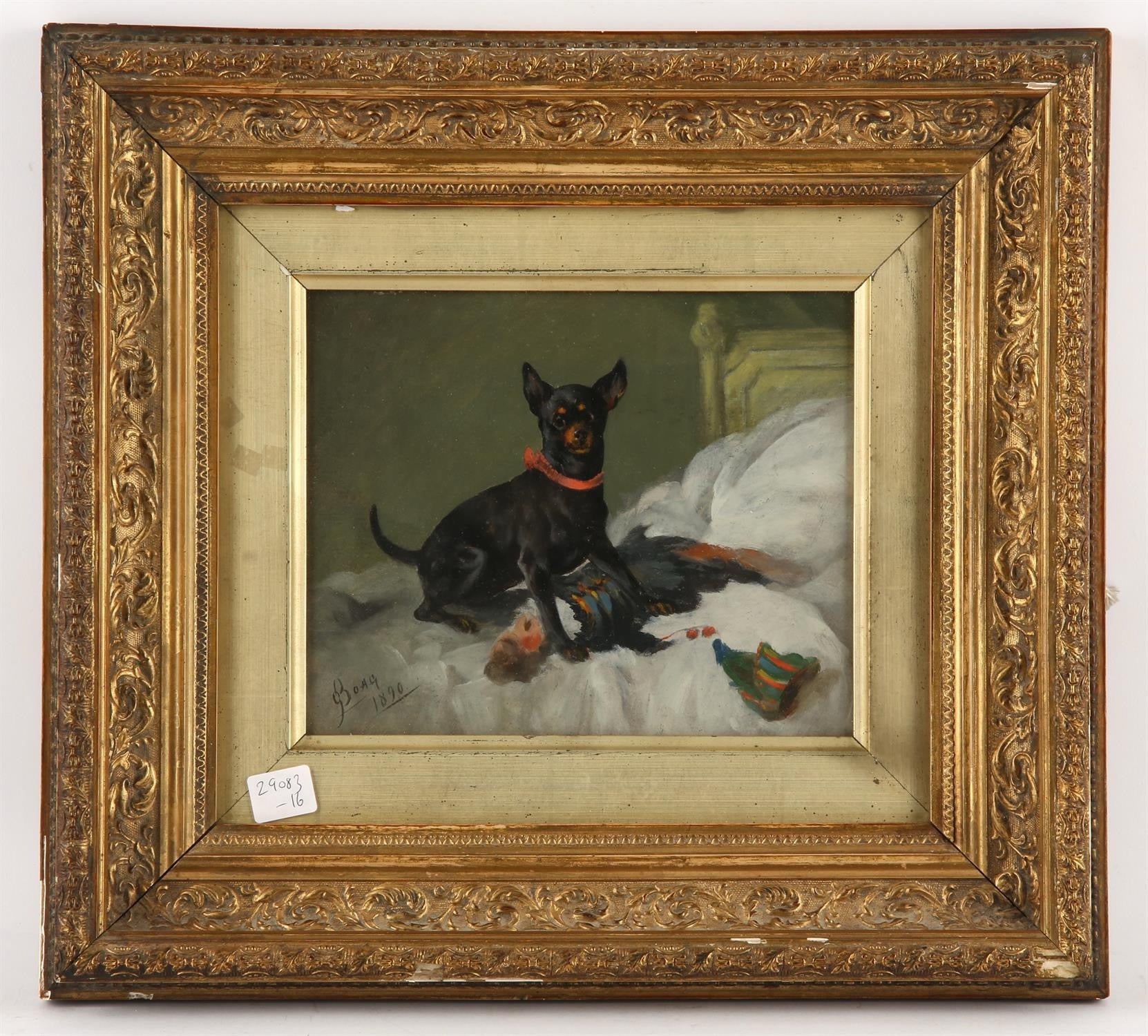 Study of a Miniature Pinscher